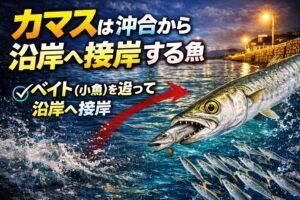 カマスは基本的に沖合に生息しながら、ベイト（小魚）を追って沿岸へ接岸します。釣太郎