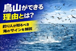 鳥山は、海の中で起きている食物連鎖が表面に現れた現象。小魚↓青物が追う↓海面に追い込まれる↓鳥が集まる。この一連の流れが、鳥山の正体.釣太郎