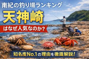 田辺天神崎が人気の理由は潮だまりが多く生き物が豊富、磯遊びができる、駐車場が2か所、トイレが2か所、ナショナルトラスト発祥の地。という特徴があるため.釣太郎
