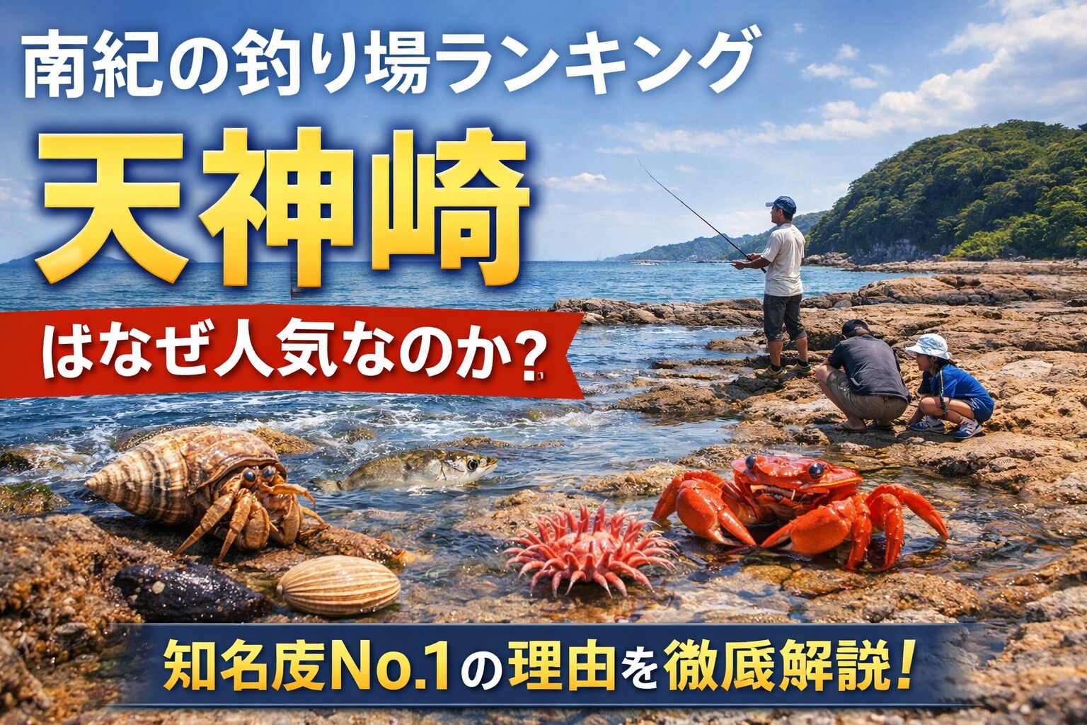 田辺天神崎が人気の理由は潮だまりが多く生き物が豊富、磯遊びができる、駐車場が2か所、トイレが2か所、ナショナルトラスト発祥の地。という特徴があるため.釣太郎