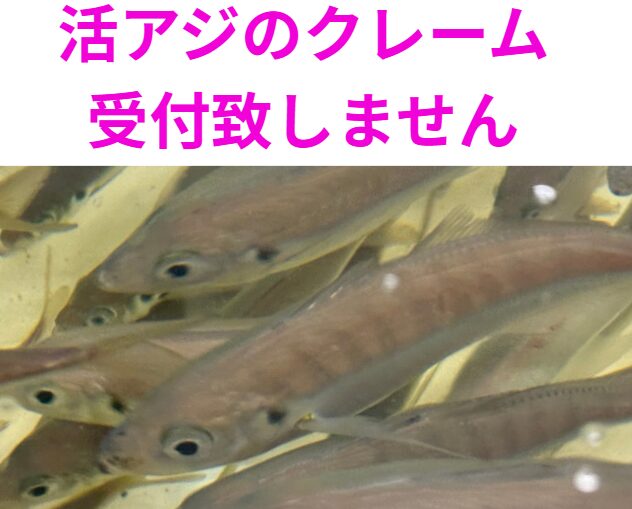 活アジは詰め込むと全滅します。特に春は危険。クレームは受付いたしません。釣太郎