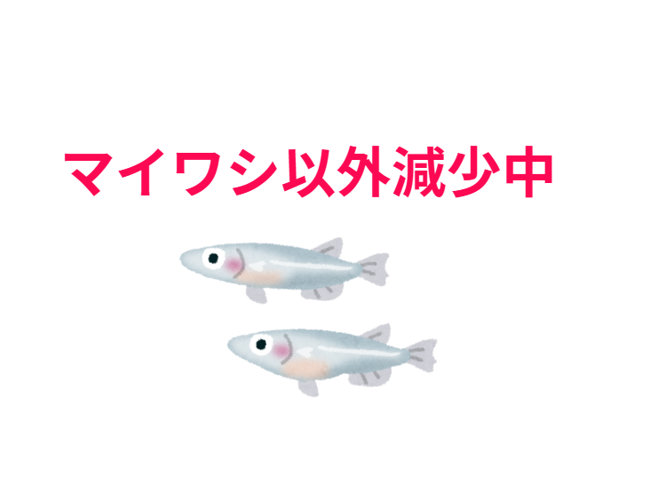 小魚の激減、主な原因： 資源低迷・加入量減少（黒潮大蛇行継続、海水温上昇、海洋熱波）。太平洋側不漁（サバ・アジ顕著）。外国漁船影響（一部魚種）。釣太郎