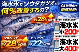 ソウダガツオ海水氷で冷却すれば、改善率。 マルソウダ 約28％、ヒラソウダ 約22％。足の早い魚ほど差が出る。釣太郎