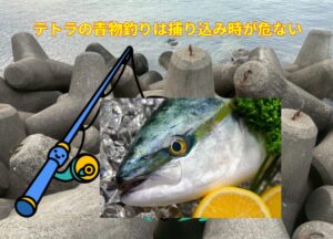 消波ブロック上の青物釣りは「取り込み時」が最大の正念場ヒットした瞬間は興奮MAXですが、取り込み時こそ命の危機。釣太郎