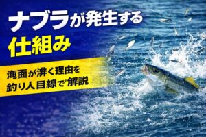 ナブラとはフィッシュイーターが小魚を海面に追い込んで捕食している現象です。そのため海面が騒ぐ小魚が跳ねる鳥が集まるという現象が起こります。釣太郎