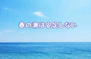 南紀の春は「潮が安定しない」ではなく、「潮の移ろいが激しい＝チャンスの波が短い」季節。釣太郎