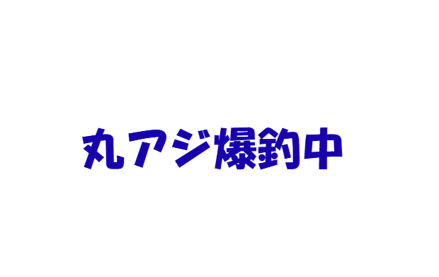 爆釣ですが丸アジが増えてきた、和歌山みなべ町堺堤防のサビキ釣り。釣太郎