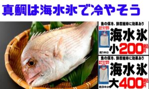 真鯛の冷却では 海水氷が科学的に優位で、特に「温度の安定性」「浸透圧ストレスの少なさ」「冷却速度」で差が出ます。釣太郎