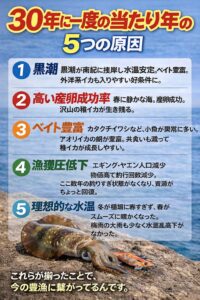 今年を逃すと後悔する…「一生に一度」のチャンスを掴め！南紀のアオリイカ釣り。釣太郎