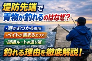 堤防先端は海の中では、流れが当たる場所ほど酸素やエサが運ばれやすく、小魚も寄りやすくなります。釣太郎