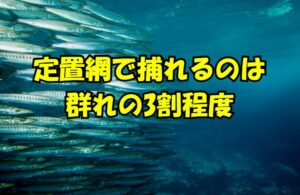 3割しか入らないのに、なぜ定置網は成立するのか。 回遊ルートに設置するため、通過する魚の絶対数が多いからです。釣太郎
