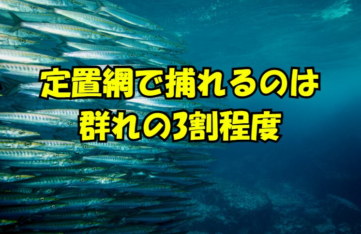 3割しか入らないのに、なぜ定置網は成立するのか。 回遊ルートに設置するため、通過する魚の絶対数が多いからです。釣太郎