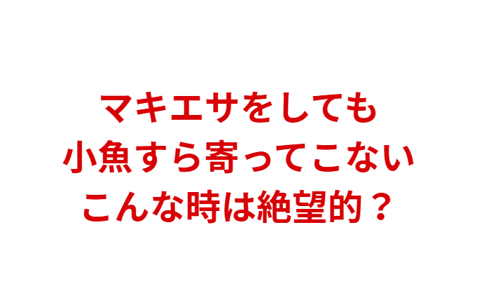小魚が寄らないのは“悪いサイン”ではない 潮が悪いときは厳しい 。しかし、捕食者がいるときはむしろチャンス。エサ取りがいないと本命が釣りやすいことも多い。状況を読むことで釣果は大きく変わる。釣太郎
