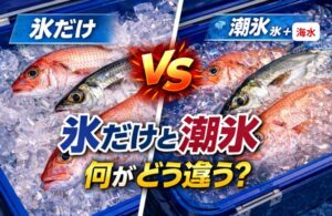 氷だけと潮氷（海水＋氷）の違いは冷却スピード。接触面積。浸透圧の影響。赤身魚・夏場・遠征釣行。ここでは潮氷が圧倒的に強い。釣太郎