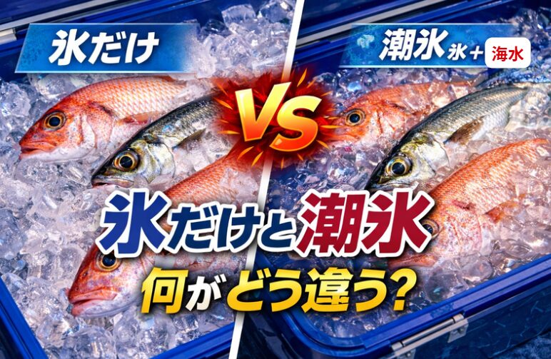 氷だけと潮氷（海水＋氷）の違いは冷却スピード。接触面積。浸透圧の影響。赤身魚・夏場・遠征釣行。ここでは潮氷が圧倒的に強い。釣太郎