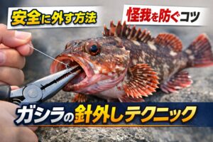 カサゴ（ガシラ）釣りで怪我が多い原因は針外しの時。エサを丸飲みする魚。奥掛かりは普通に起きる。手で外すのは危険。必ずプライヤーを使う。釣太郎