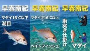 南紀の早春マダイは「デカい・脂乗り抜群・釣りやすい」の三拍子揃い。釣太郎