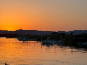 これからが本格的なアオリイカ釣りシーズンに入る南紀地方。今シーズン3キロ狙ってみませんか？釣太郎