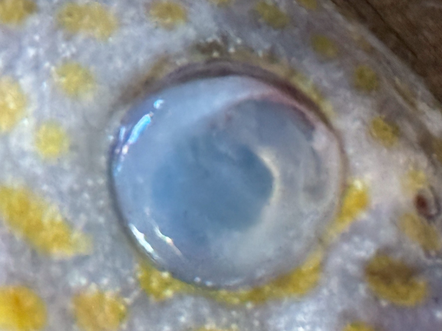 「腐った魚のような目」は、食中毒リスクのサイン.釣太郎