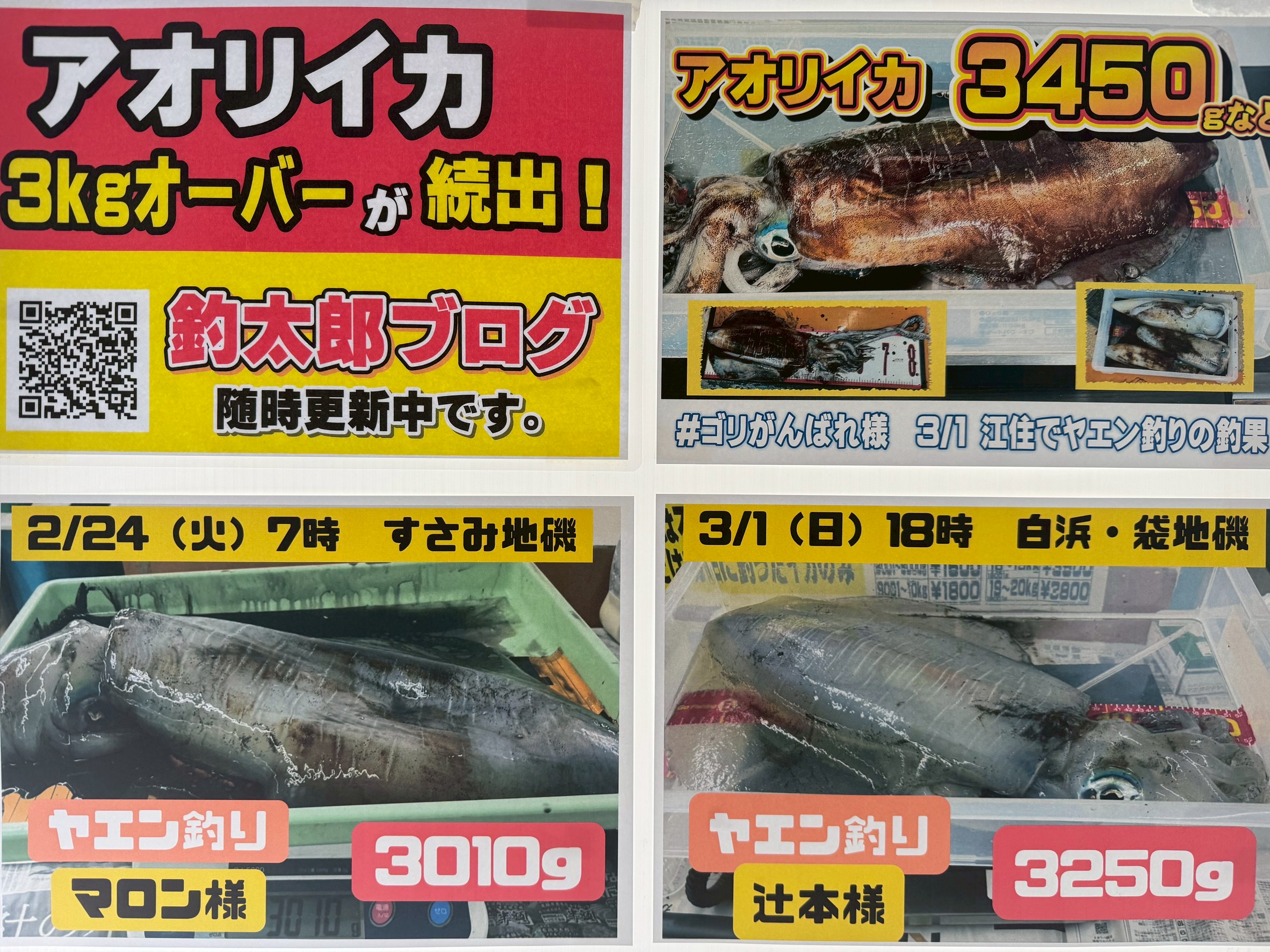 【2026年3月3日速報】南紀アオリイカは30年に一度の当たり年。AIが3月上旬釣果を予測。釣太郎