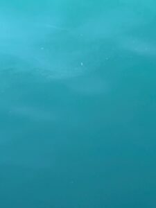 海が清むのは、風や波が弱く、川水や海底の巻き上がりが少ない時。濁るのは、風、波、雨、川の流れ込み、海底の砂泥の舞い上がりが主な原因。釣太郎