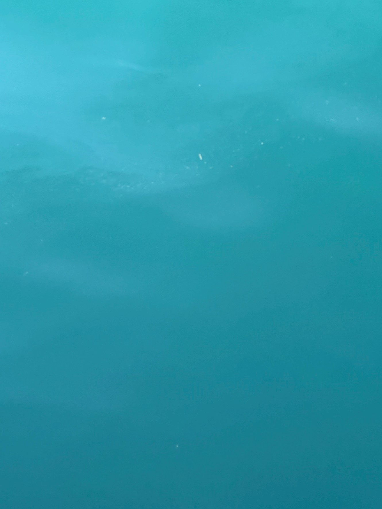 海が清むのは、風や波が弱く、川水や海底の巻き上がりが少ない時。濁るのは、風、波、雨、川の流れ込み、海底の砂泥の舞い上がりが主な原因。釣太郎