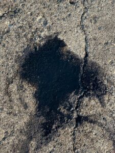 まだ濡れている墨跡。ここ24時間以内アオリイカが釣れたようです。釣太郎