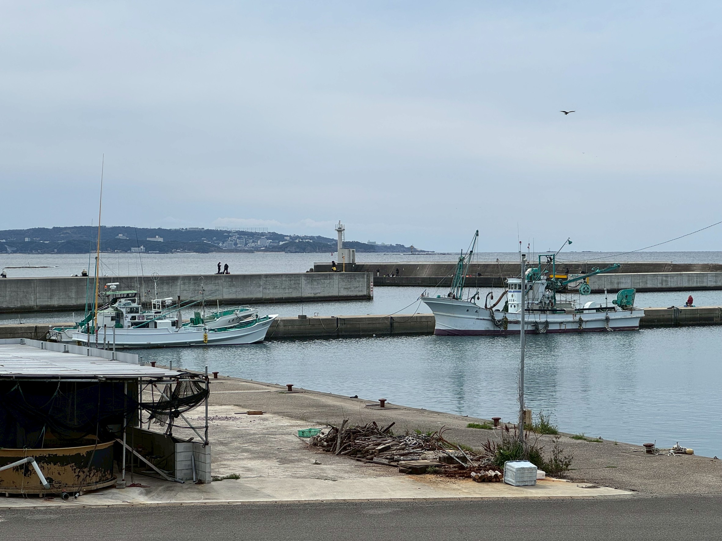 アジ、チヌ、カマス狙いのみなべ店前堤防釣り人。3月13日金曜日