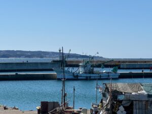 強風ですがお天気がいいこともありつりびとでにぎわみなべ町堺堤防。3月14日土曜日