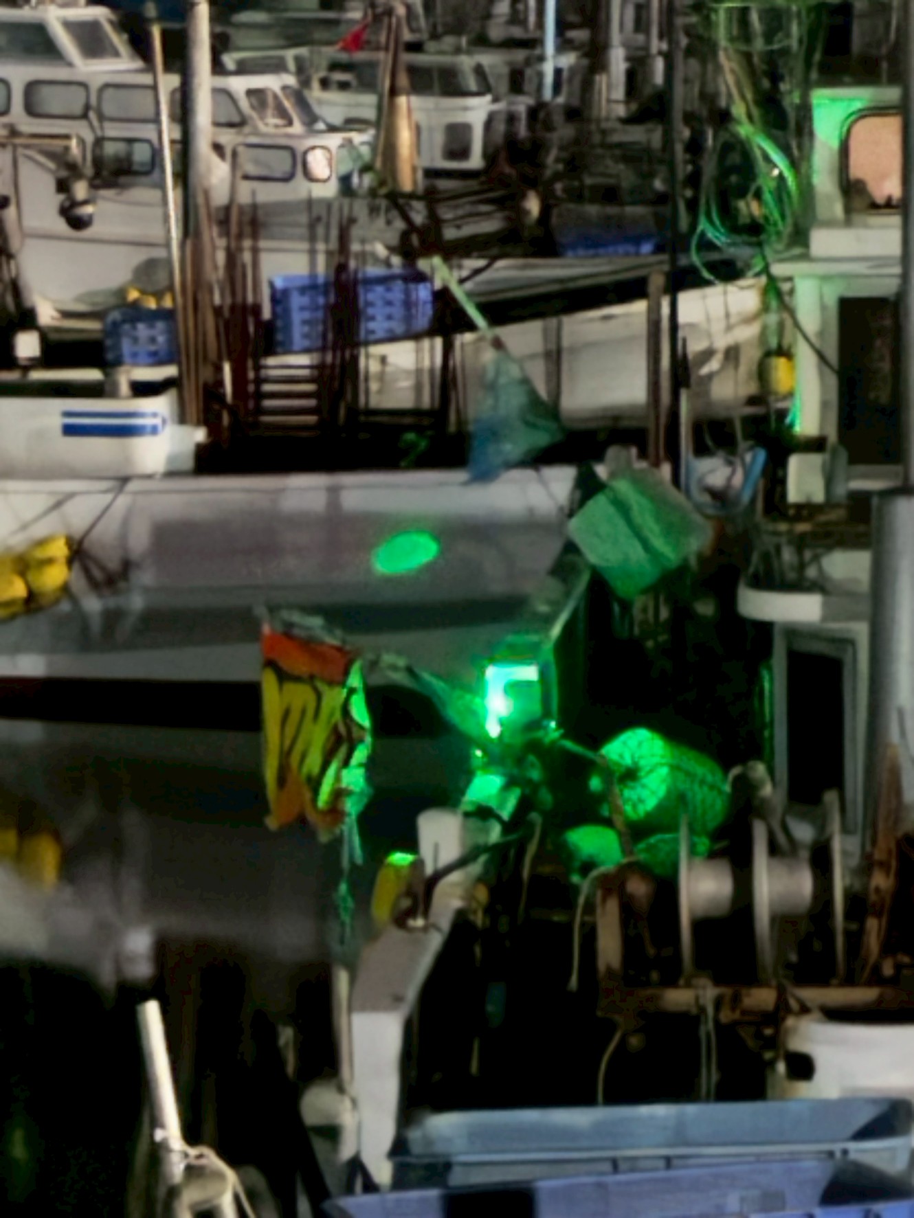 夜の漁港で、停泊している船に取り付けられているライト。これは一般的に 「停泊灯（ていはくとう）」 または 係留灯。釣太郎