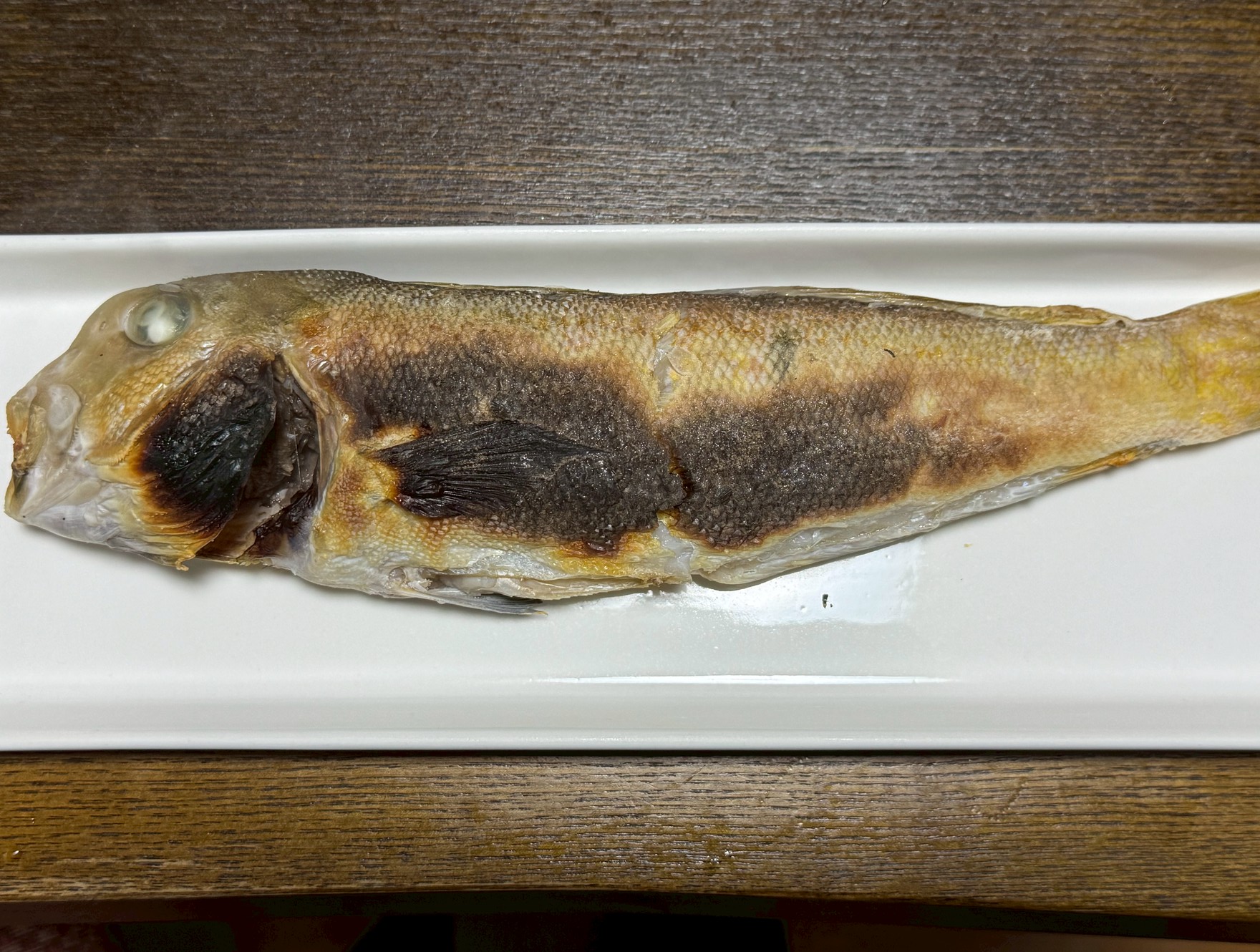 小ぶりでアママダイ。やっぱり違います。美味かった！釣太郎