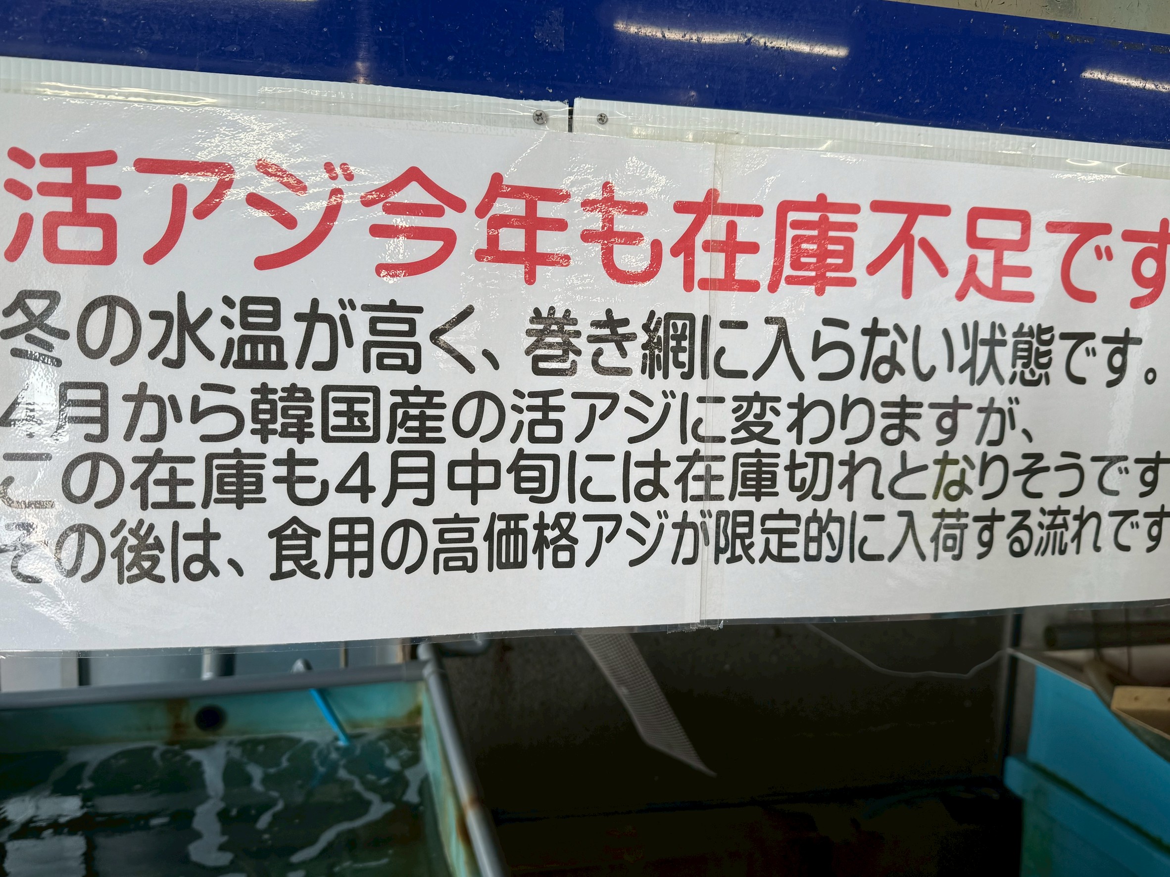 活アジ品不足でどうなる？アオリイカ釣りへの影響と今後の対策。釣太郎