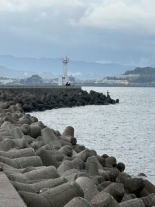 なぜ回遊魚は堤防の先端に集まるのか？釣果を伸ばす秘密に迫る。釣太郎