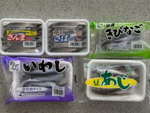 イワシやキビナゴなど定番魚サシエサ5種類の特徴を徹底解説。釣太郎