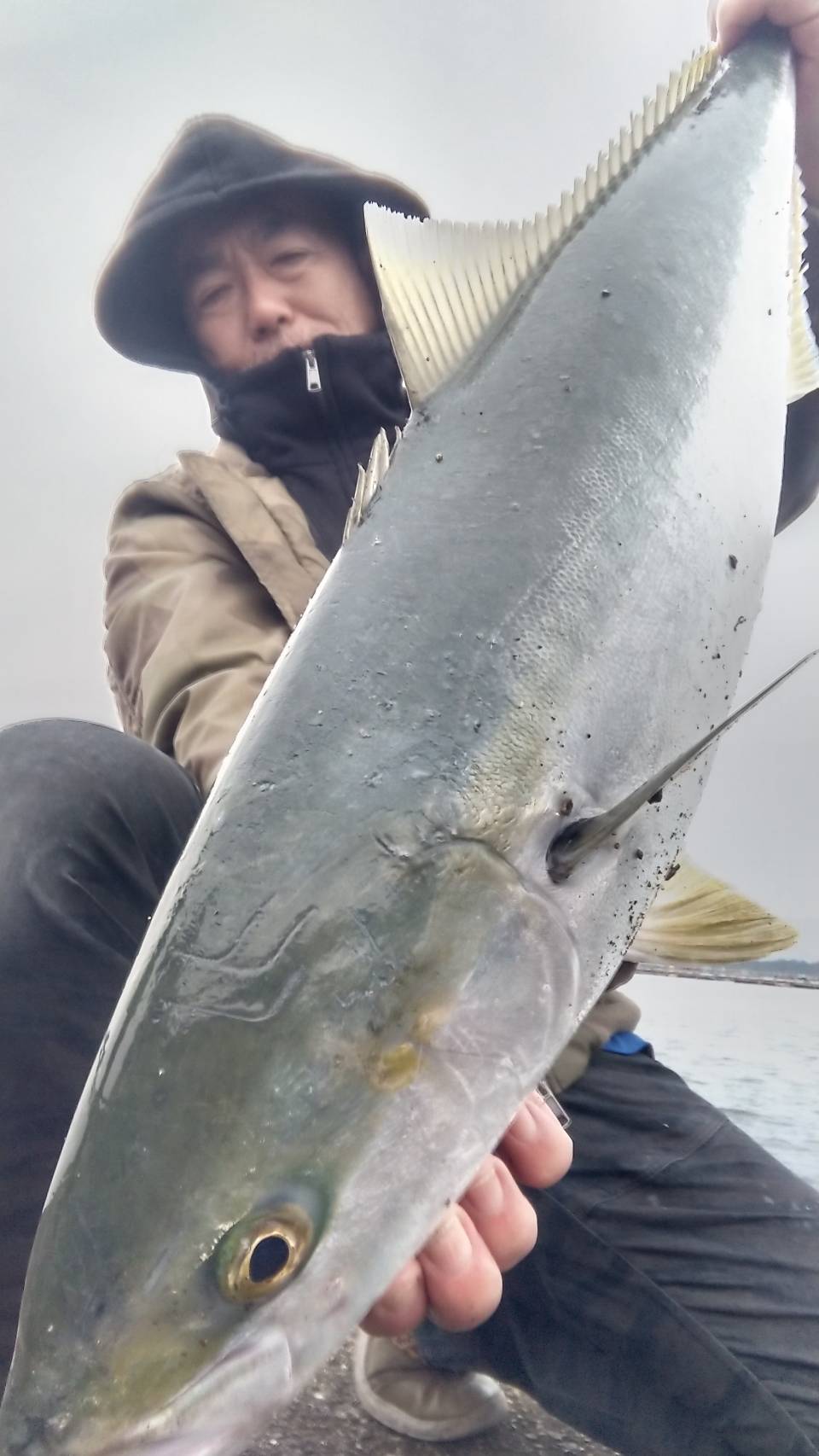 今夜22時から、白浜店に関口がおりますので、釣りに関するご質問全般、お答えできます。釣太郎