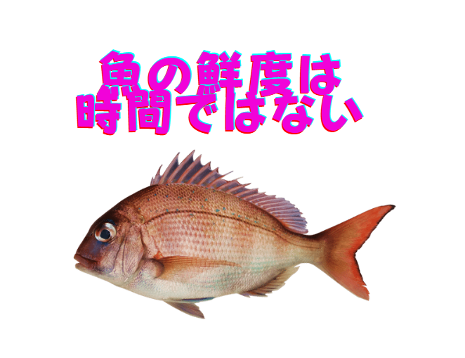 魚の鮮度は、漁獲直後の締め方 → 即時冷却 → 温度管理 → 熟成の見極めという一連のプロセスで決まります。釣太郎