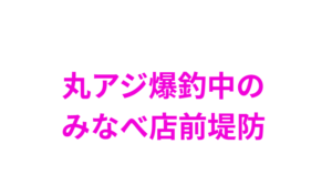 アミエビを入れサビキカゴをドボンと海に入れるだけで、いくらでも釣れるマルアジ。釣太郎