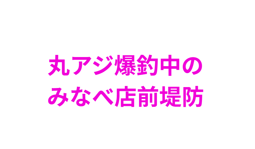 アミエビを入れサビキカゴをドボンと海に入れるだけで、いくらでも釣れるマルアジ。釣太郎