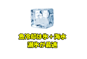 氷＋海水＝潮氷がなぜ魚冷却に最適。釣太郎
