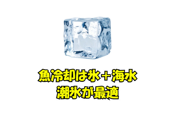 氷＋海水＝潮氷がなぜ魚冷却に最適。釣太郎