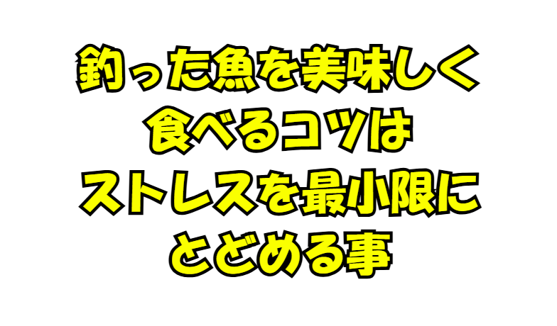 釣った魚を最大限美味しく食べるには、出来るだけ早く活締めしてストレスを最小限にとどめる事。釣太郎