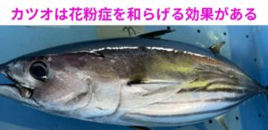 カツオは・炎症を抑える ・酸化ストレスを軽減 ・体力を底上げ。花粉症を“軽くする側”の魚。釣太郎