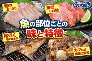 魚は「どの部位をどう食べるか」で味が劇的に変わります。 同じ魚でも、背中はあっさり、腹は濃厚、尾は締まって弾力強め──というように、部位ごとに性格がまったく違う.釣太郎