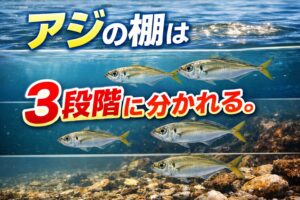 アジはベイト、水温、潮で海面、中層、海底に水深（棚）を分けて泳ぐ魚。釣太郎