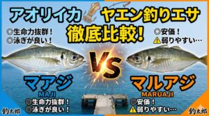 初心者向きで安定しているのはマアジ。 動きの強さと存在感で勝負できるのはマルアジ。アオリイカヤエン釣り入門。釣太郎