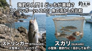 魚を美味しく食べるという目的に絞れば、軍配はストリンガーより「スカリ」に上がります。釣太郎