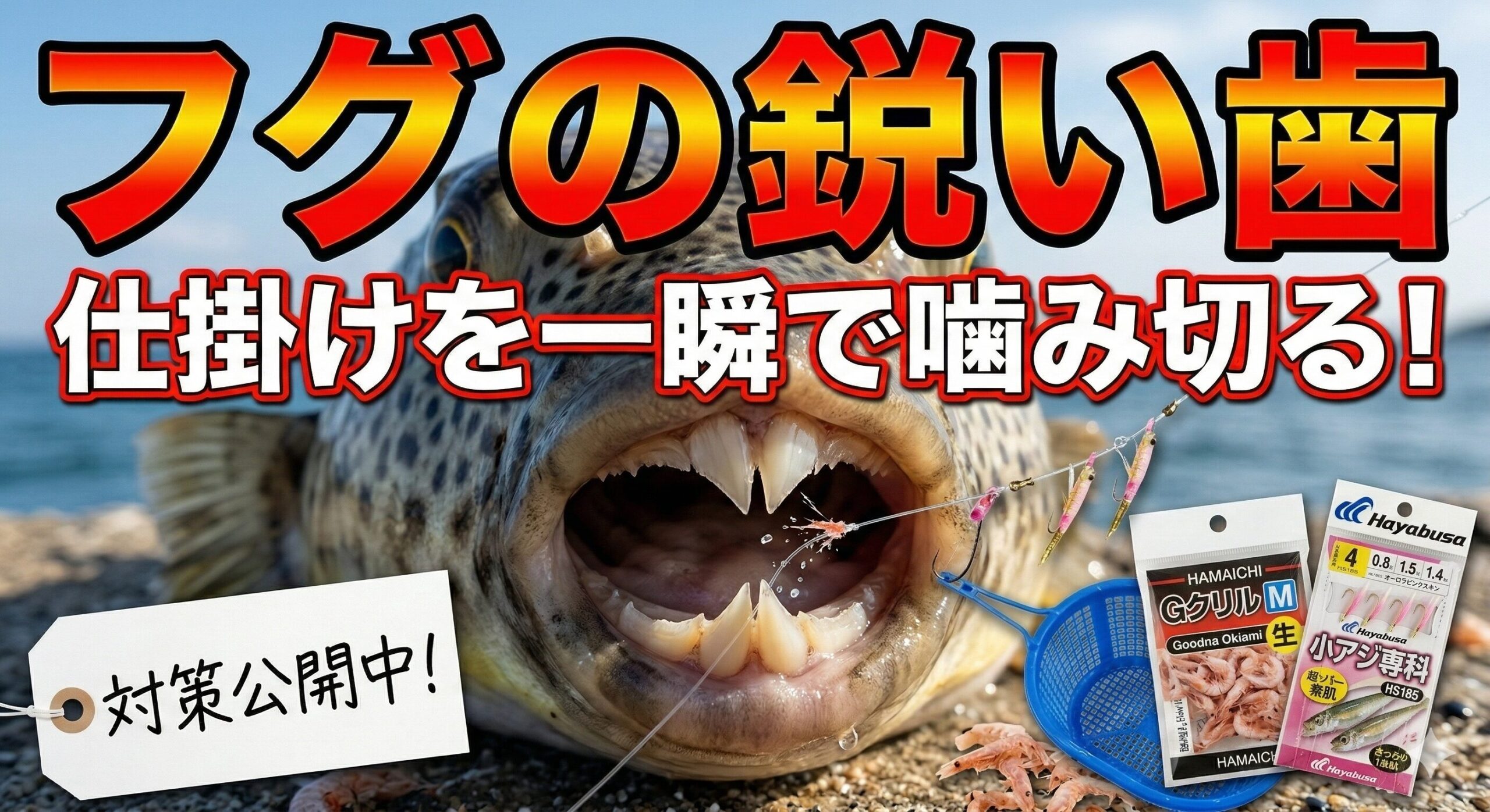 フグを釣った時は、針を外す時は素手だと爪がボロボロになるので、プライヤーor針外しを使いましょう。釣太郎