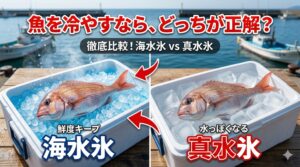 海水魚冷却は、海水を凍らせた海水氷がベスト。釣太郎