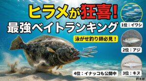 ヒラメが好むベイト・ランキング！第1位は、圧倒的な実績を誇る「イワシ」釣太郎