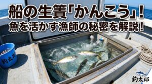 「かんこう」とは船に備え付けられた「生簀（イケス）」のこと。漁師や釣り船特有の設備であり、魚やエサを活かしておくための重要なスペース。釣太郎